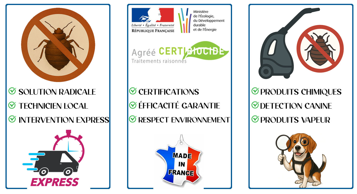 Punaises de Lit La Garenne Colombes